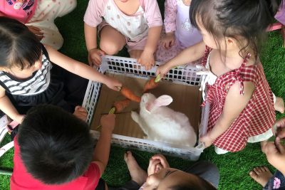 Kích thích và thỏa mãn sự tò mò của trẻ thông qua Hoạt động ngoài trời “Quan sát có mục  đích: Con thỏ” của cô và cháu lớp 2 tuổi A.